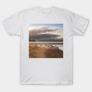 Seagulls T-Shirt